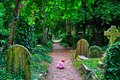 Highgate Cemet&hellip;