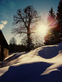 snijeg, sunce,&hellip;