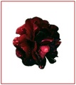 Blood Red Rose
