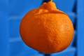 Mandarina, Cit&hellip;