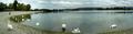 Labuđa panoram&hellip;