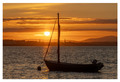 Wexford , Irel&hellip;