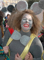 mišica milica