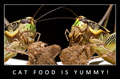 Cat food is yu&hellip;