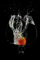 tomato splash &hellip;