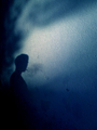 shadow on the &hellip;