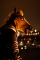 Horse in Bg