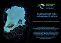 Raznolikost ri&hellip;