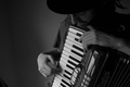 harmonikaŠ