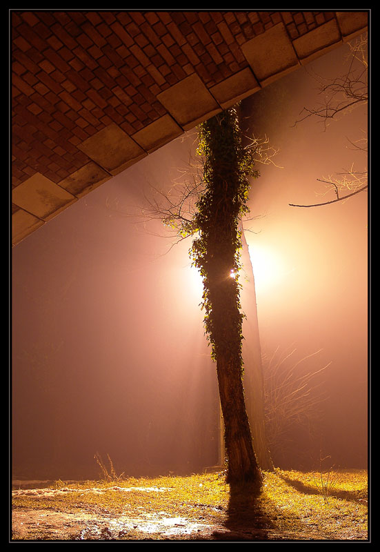 Igra svijetla &hellip;