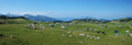 Velika Planina&hellip;