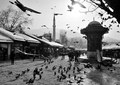 Sarajevo ljuba&hellip;
