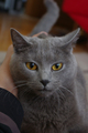 daj me pusti..&hellip;