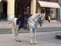Jahać na Jelač&hellip;