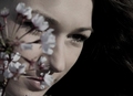 Flower in my e&hellip;