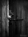 old door