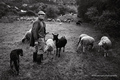 rural lives