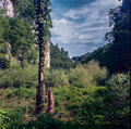 Kanjon Korane