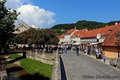 samobor , cvij&hellip;