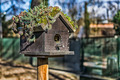 Bird house